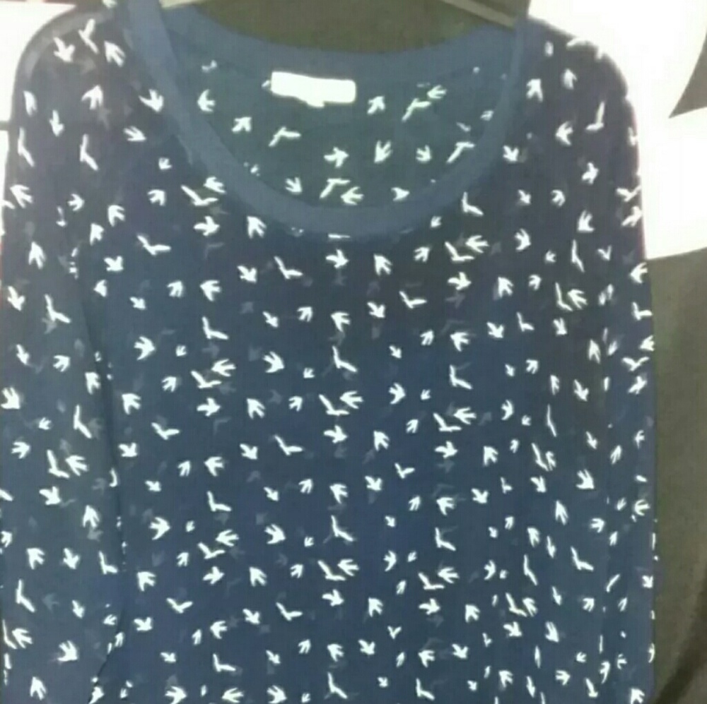 Wishful Park Shirt Womens Sheer Blue/Birds